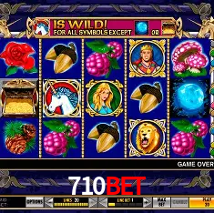 710bet Rio de Janeiro - Bonus Terms
